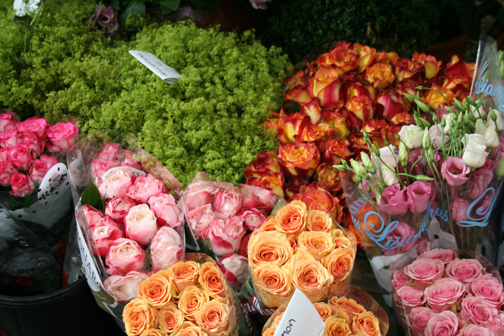 amsterdam-bloemenmarkt-01