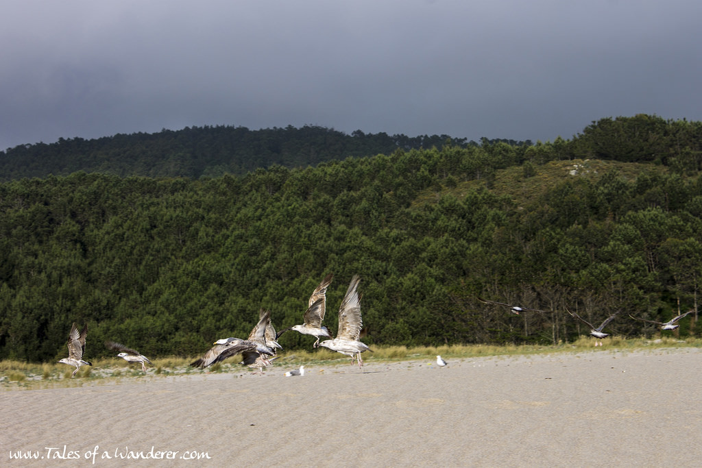 praia_do_rostro25