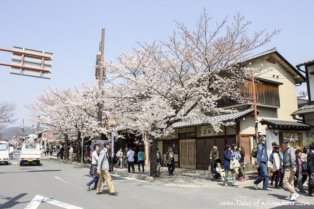 arashiyama-04