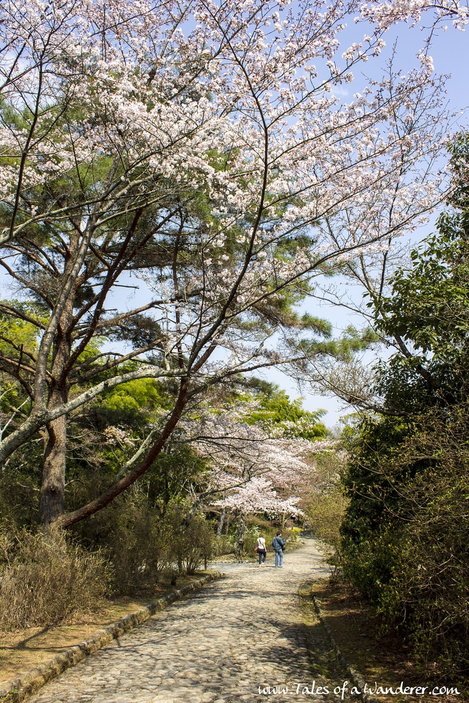 arashiyama-23