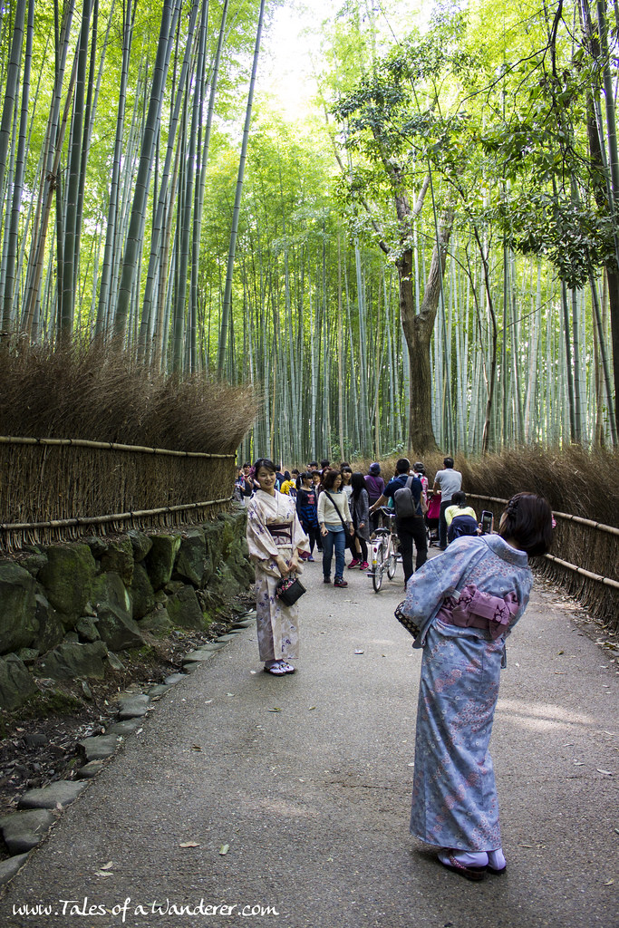 arashiyama-29