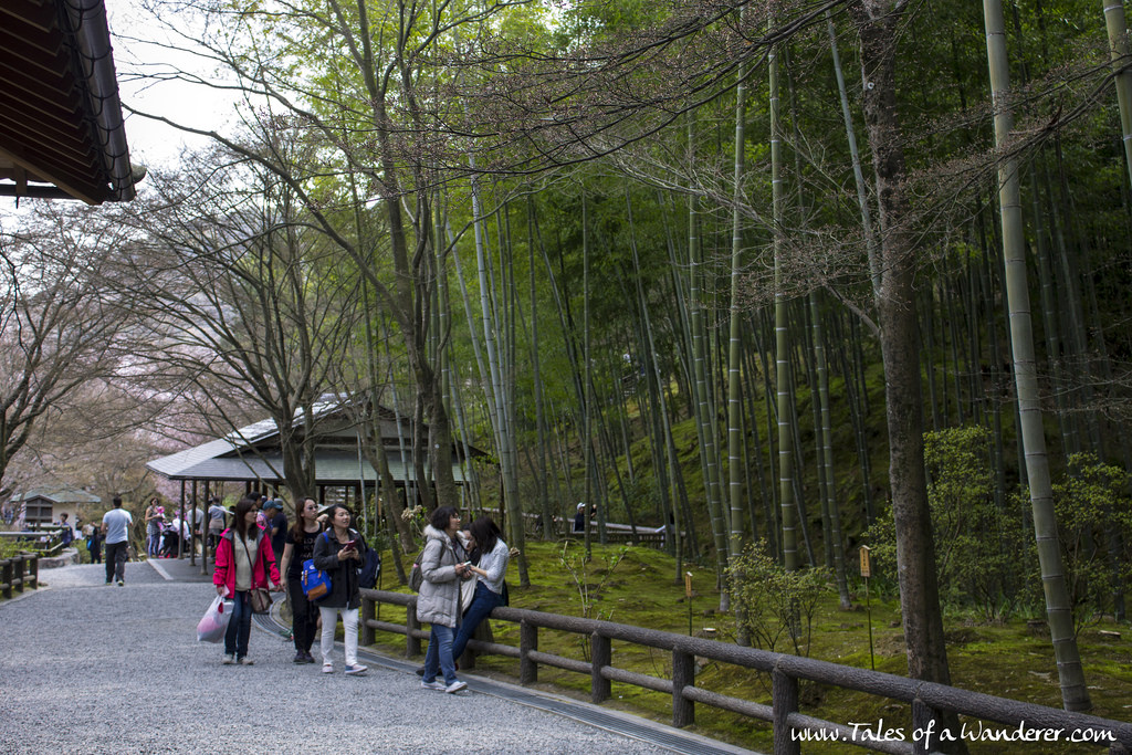 arashiyama-30