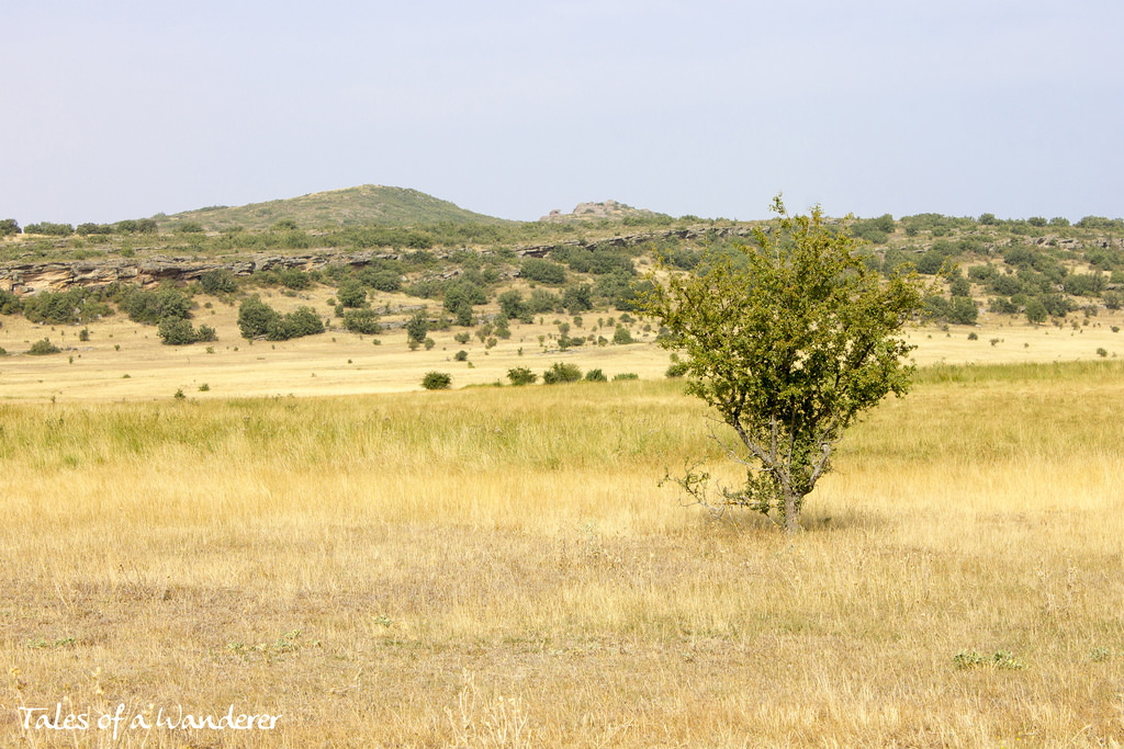 castillo-zafra02