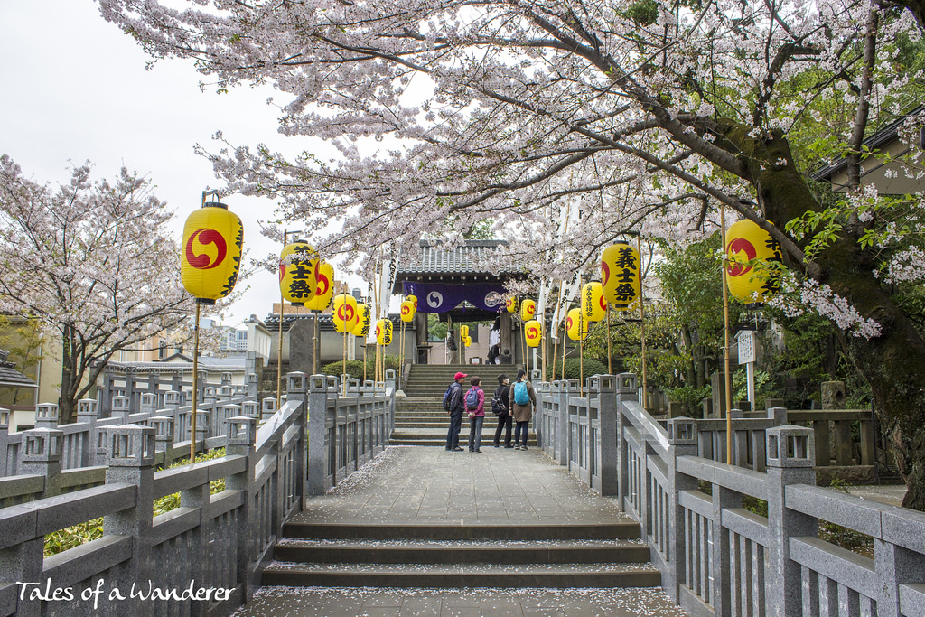 sengaku-ji00