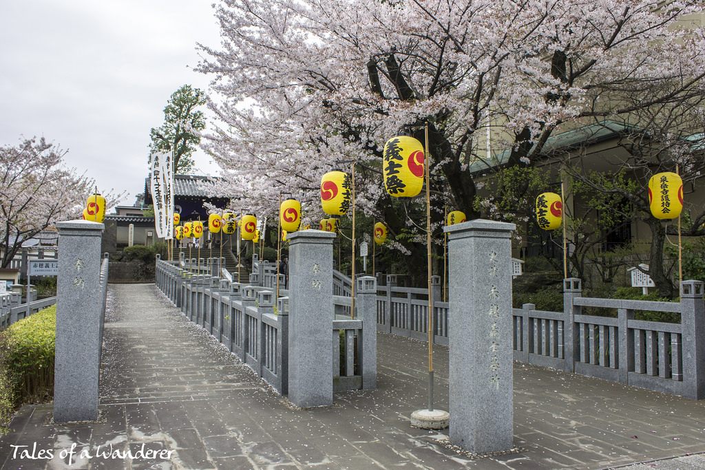 sengaku-ji12