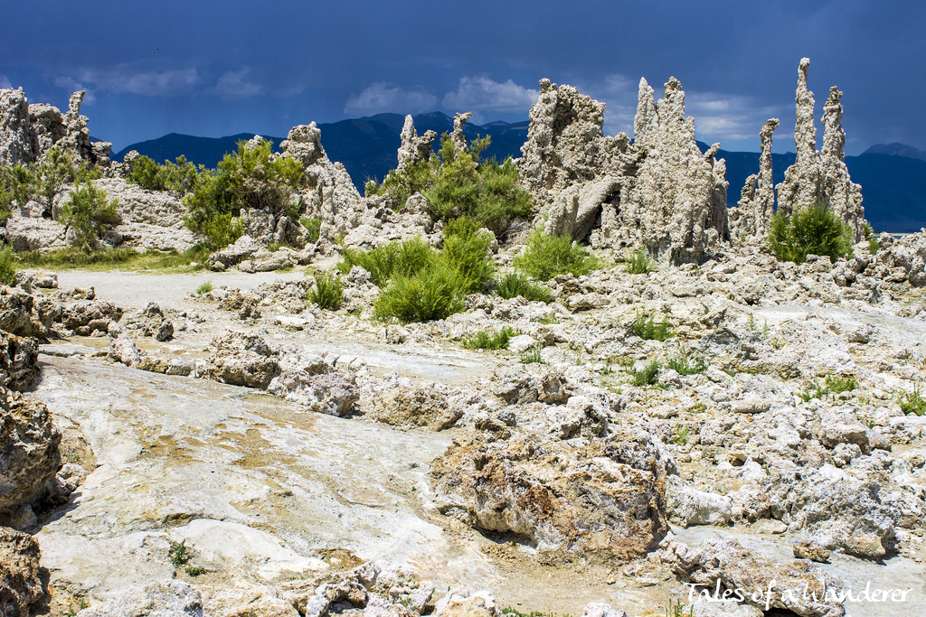 mono-lake-26